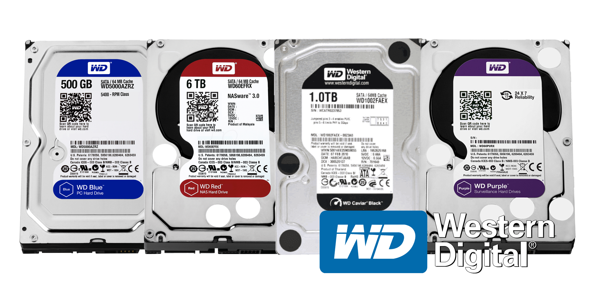 Wd Blue Vs Black Vs Purple Red Which Hdd To Purchase