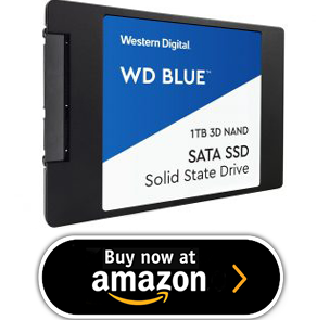Buy the Western Digital Blue SSD